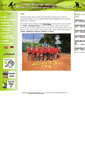 Mobile Screenshot of internationaltenniscamps.com